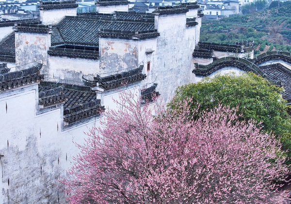 1743144549155081699.jpg 2.jpg