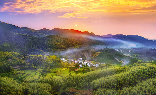 1743144569059023839.png 33.png