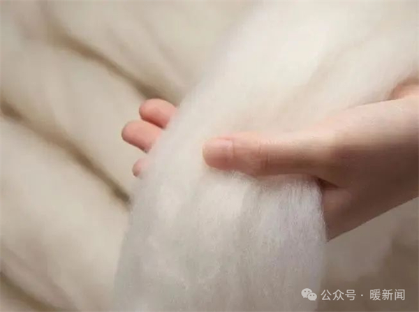 1743057244087025018.jpg 图片50.jpg