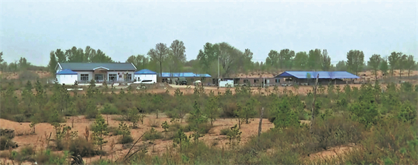 1743587452424022237.jpg 67ec8a70a3104d9fd15510d0.jpg