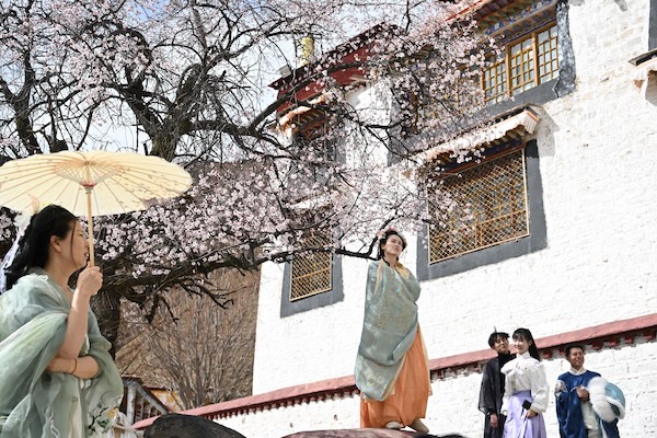 1743499092380050992.jpg 帕邦喀桃花2_副本.jpg