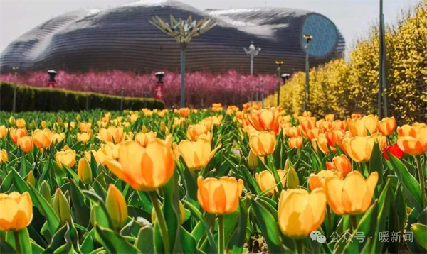 1745564749486014238.jpg 图片4.jpg