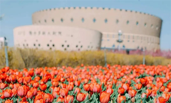 1745564788746048228.jpg 图片5.jpg