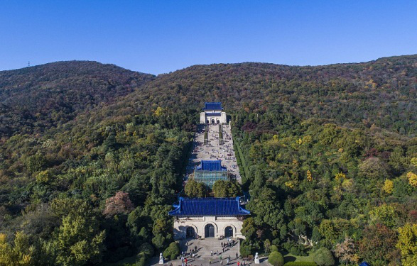 1535621305696081189.png 13.png