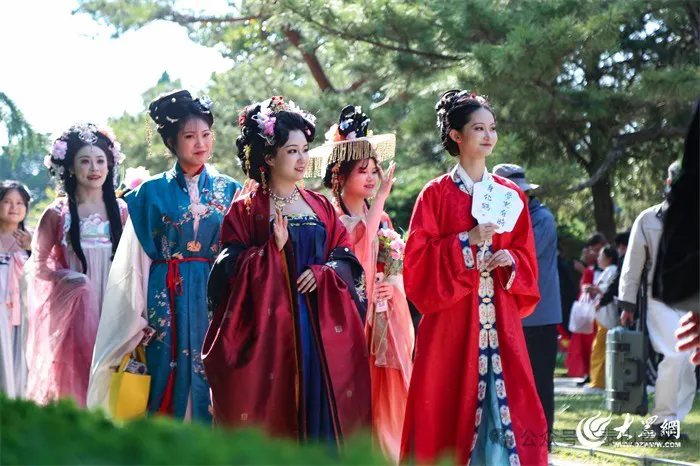 1747188465279084095.png 13-TA-1.webp_副本.png