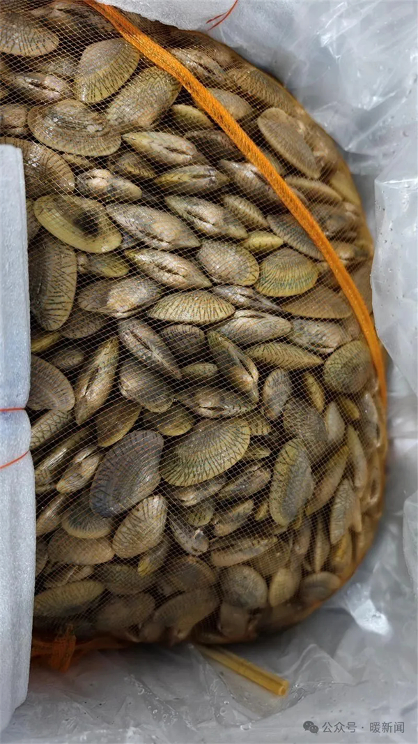 1748942420681032510.jpg 图片64.jpg