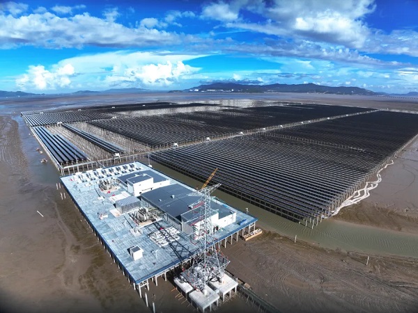 1748597714432094001.jpg 乐清.jpg