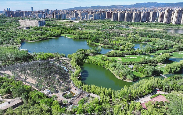 1747647612244057263.jpg 3.jpg