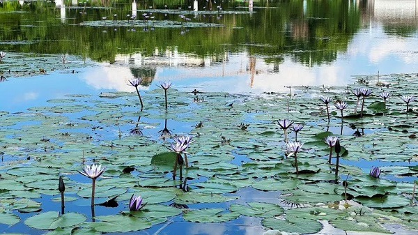 1749800677965092131.jpg 89955c72969fa56b43e8ee345d76f743.jpg