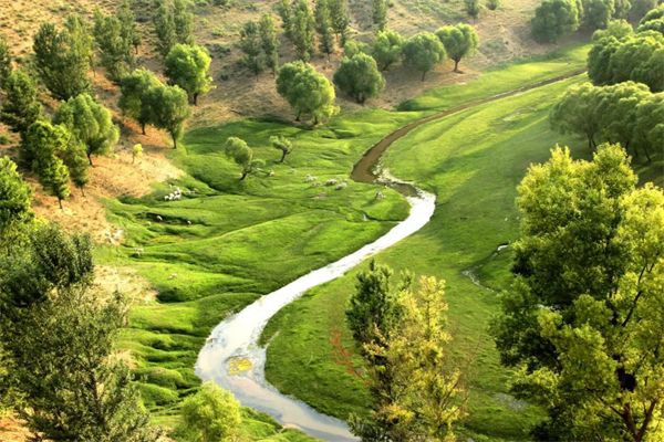 1750065973981049913.jpg 图片7.jpg