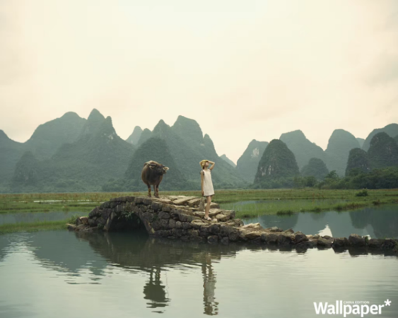 1751613024023065892.png 12.png