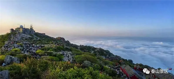 1751877268192014129.png 07-TA-1.webp_副本.png