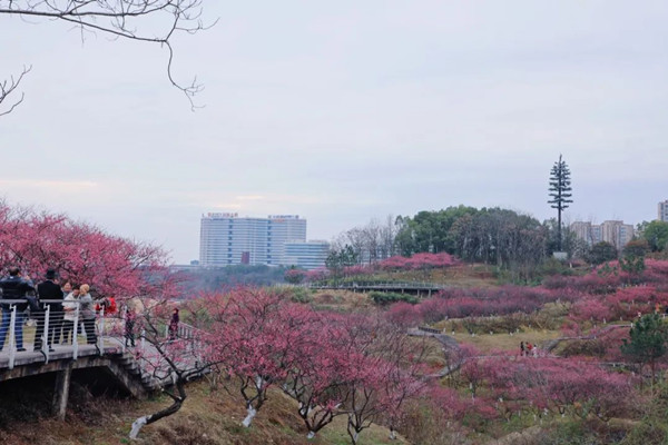 1739871788410073997.jpg 3-1_副本.jpg