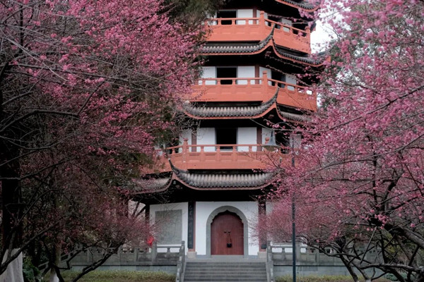 1739871816723030890.jpg 3-2_副本.jpg