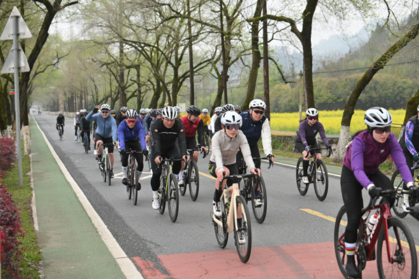 1743500774489062939.jpg 3-2_副本.jpg