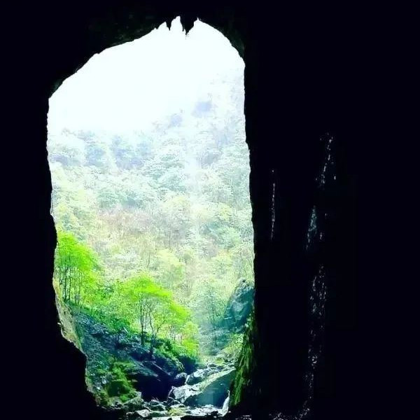 1749548187416058664.jpg 2-2_副本.jpg