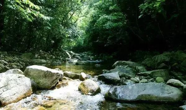 1749548232207079475.jpg 2-4_副本.jpg