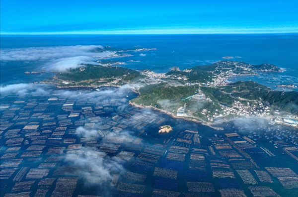 1737878482046035177.png 3_副本.png