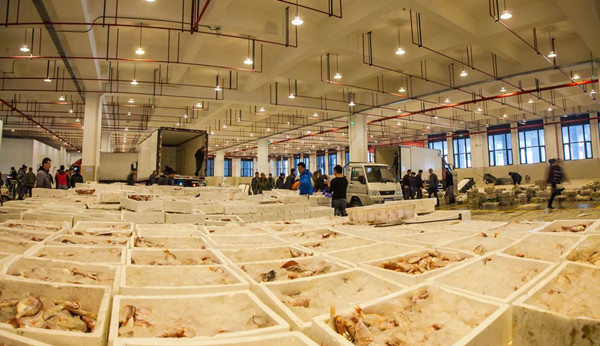 1736155515494097707.jpg 1_副本.jpg