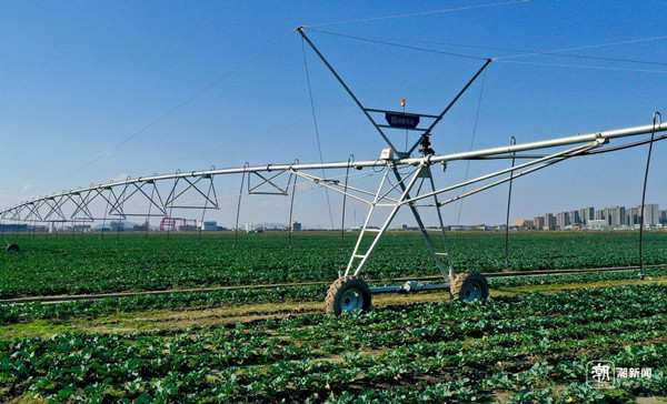 1741081241894026526.jpg 1_副本.jpg