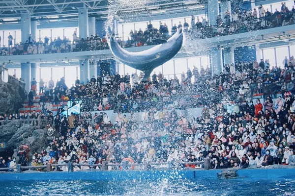 1740996525308024315.jpg 1-3_副本.jpg