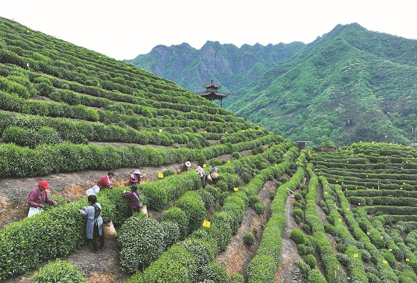 1753327312955010810.jpeg 688041cca310ad07ab7dd7a4.jpeg