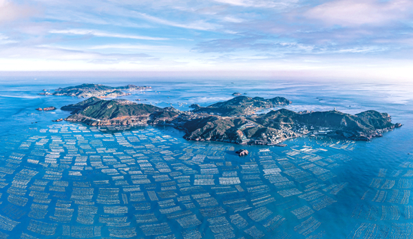 1755676116057024678.jpg zs_副本.jpg