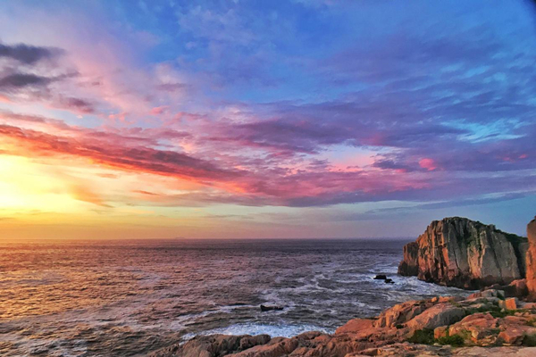 1753252529183035135.jpg zs2_副本.jpg