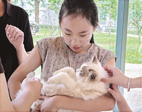 1758865242322016366.png 宠物1.png