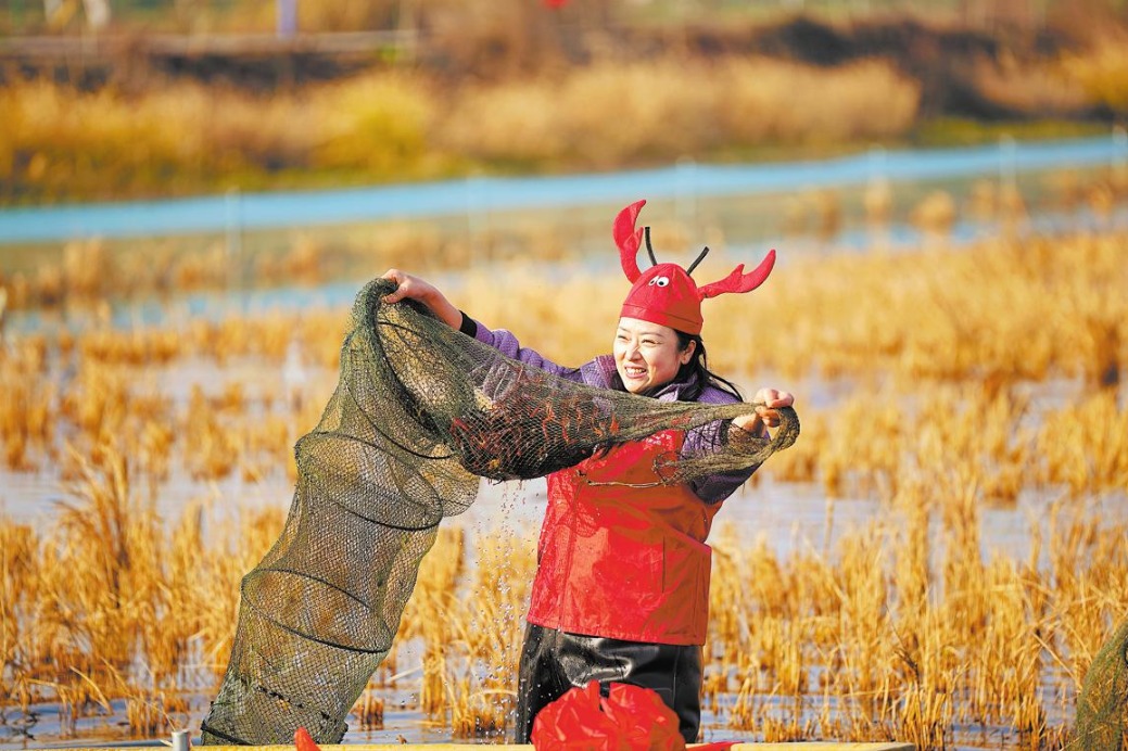 Farmers diversify field work to double rewards