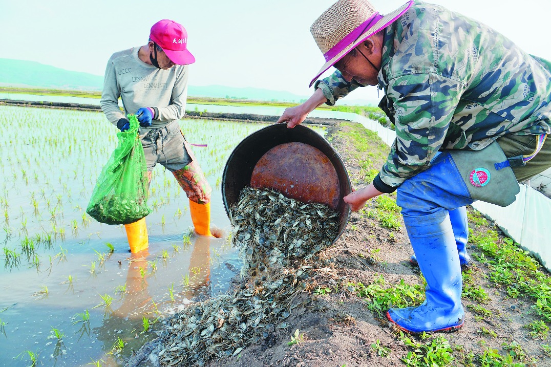 Modern agriculture making harvests more fruitful