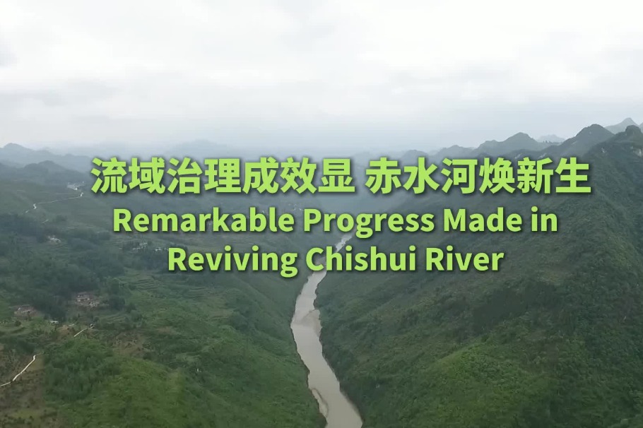Conservation efforts revive Chishui River section in Zunyi