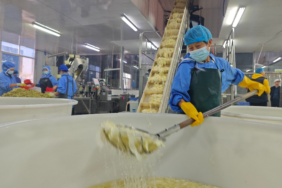 Huitong's bamboo industry drives local growth