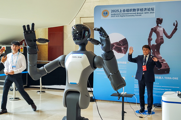 1756698423855098654.jpg 山东4_600.jpg