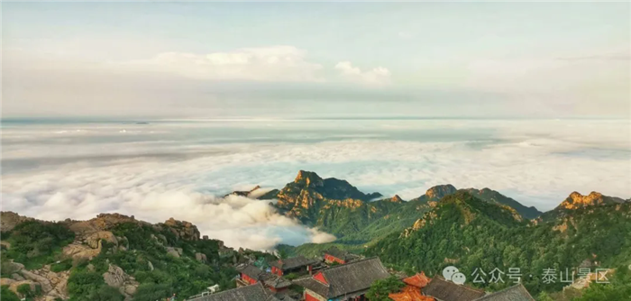 1754531127312003422.png 07-TA-3.webp_副本.png