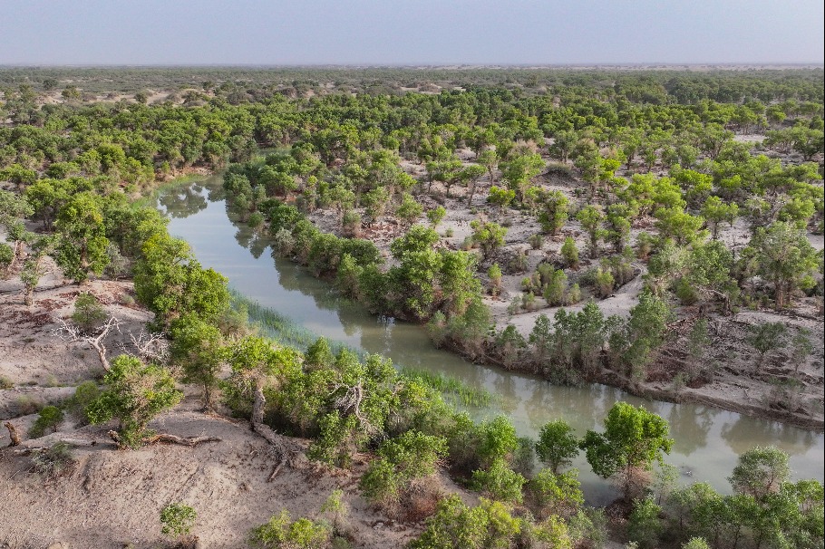 Xinjiang makes new miracles in battle against desertification: white paper