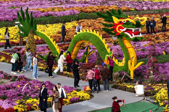 Chrysanthemums in full bloom enhance autumn vibes at Jiangsu's Qianduo scenic area