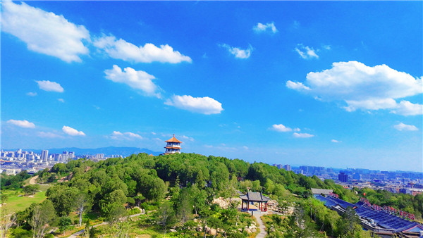 1760948741759035709.jpg 14-TA-1.jpg