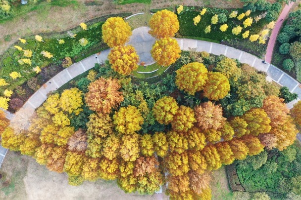 Beautiful scenery by Furong Lake in Henan