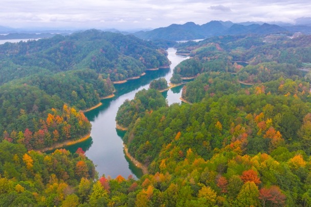 Zhejiang’s Hongyewan scenic area in early winter’s vibrant colors