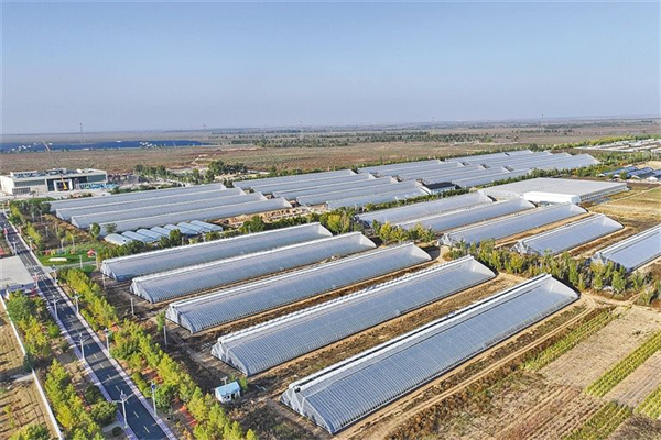 1761817160251085366.jpg 图片50.jpg