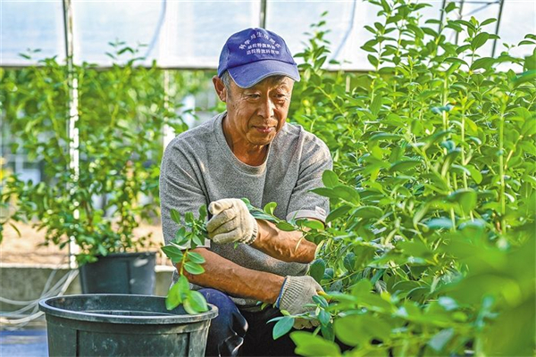 1761817282982010910.jpg 图片51.jpg