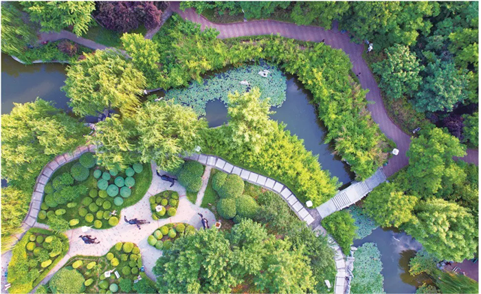 1756869002606060012.png 10-TA-1.webp_副本.png