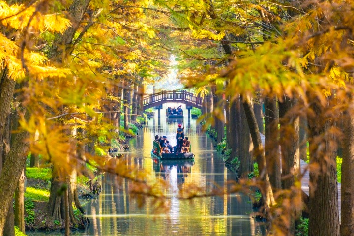 Picturesque winter scene in Jiangsu