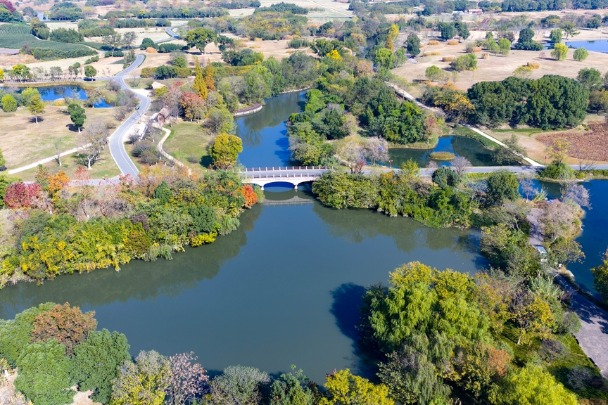 Liangzhu Ancient City Ruins Park in Zhejiang
