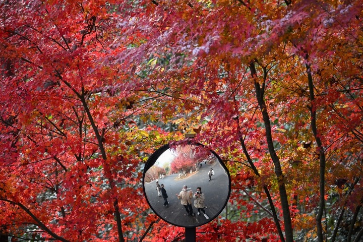 Nanjing’s Qixia Mountain unveils stunning scenery