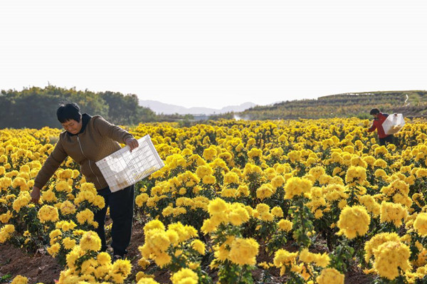 1764234733959012515.jpg 2-1_副本.jpg