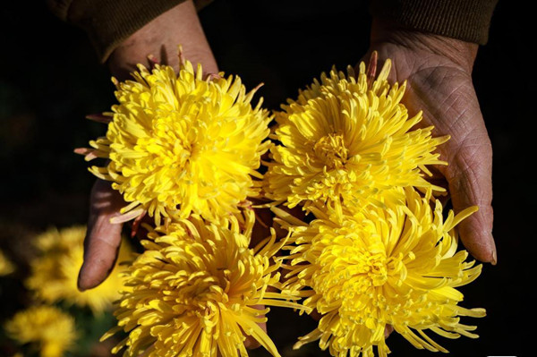 1764234750350063247.jpg 2-2_副本.jpg