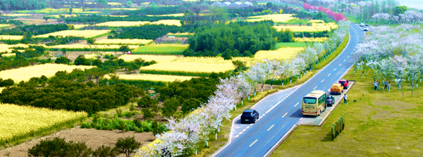 1762504361414094027.png 1_副本.png