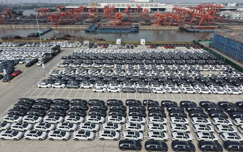 1763116021428033575.jpg Export (1).jpg